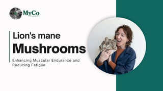 Lion's mane
Mushrooms
Enhancing Muscular Endurance and
Reducing Fatigue
 