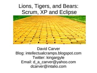 Lions, Tigers, and Bears:  Scrum, XP and Eclipse ,[object Object],[email_address] 