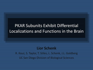PKAR Subunits Exhibit Differential
Localizations and Functions in the Brain
Lior Schenk
R. Ilouz, S. Taylor, T. Stiles, L. Schenk, J.L. Goldberg
UC San Diego Division of Biological Sciences
 