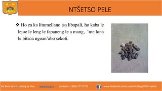 Re Bona Leseli Leseling La Hao. www.lce.ac.ls contacts: (+266) 22312721 www.facebook.com/LesothoCollegeOfEducation
 Ho ea ka litumellano tsa libapali, ho kaba le
lejoe le leng le fapaneng le a mang, ’me lona
le bitsoa ngoan’abo sekoti.
9/26/2018 TJOTJO 10
NTŠETSO PELE
 