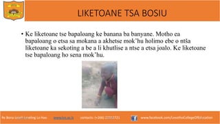 Re Bona Leseli Leseling La Hao. www.lce.ac.ls contacts: (+266) 22312721 www.facebook.com/LesothoCollegeOfEducation
• Ke liketoane tse bapaloang ke banana ba banyane. Motho ea
bapaloang o etsa sa mokana a akhetse mok’hu holimo ebe o ntša
liketoane ka sekoting a be a li khutlise a ntse a etsa joalo. Ke liketoane
tse bapaloang ho sena mok’hu.
9/26/2018 TJOTJO 15
LIKETOANE TSA BOSIU
 