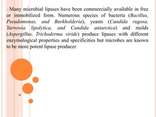Many microbial lipases have been commercially available in free
or immobilized form. Numerous species of bacteria (Bacillus,
Pseudomonas, and Burkholderia), yeasts (Candida rugosa,
Yarrowia lipolytica, and Candida antarctica) and molds
(Aspergillus, Trichoderma viride) produce lipases with different
enzymological properties and specificities but microbes are known
to be more potent lipase producer
 
