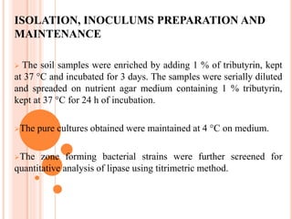 ISOLATION, INOCULUMS PREPARATION AND
MAINTENANCE
 The soil samples were enriched by adding 1 % of tributyrin, kept
at 37 °C and incubated for 3 days. The samples were serially diluted
and spreaded on nutrient agar medium containing 1 % tributyrin,
kept at 37 °C for 24 h of incubation.
The pure cultures obtained were maintained at 4 °C on medium.
The zone forming bacterial strains were further screened for
quantitative analysis of lipase using titrimetric method.
 