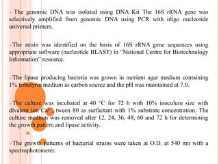  The genomic DNA was isolated using DNA Kit The 16S rRNA gene was
selectively amplified from genomic DNA using PCR with oligo nucleotide
universal primers.
The strain was identified on the basis of 16S rRNA gene sequences using
appropriate software (nucleotide BLAST) in “National Centre for Biotechnology
Information” resource.
The lipase producing bacteria was grown in nutrient agar medium containing
1% tributyrin medium as carbon source and the pH was maintained at 7.0.
The culture was incubated at 40 °C for 72 h with 10% inoculum size with
divalent ion Ca2+, tween 80 as surfactant with 1% substrate concentration. The
culture medium was removed after 12, 24, 36, 48, 60 and 72 h for determining
the growth pattern and lipase activity.
The growth patterns of bacterial strains were taken at O.D. at 540 nm with a
spectrophotometer.
 