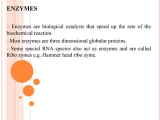ENZYMES
 Enzymes are biological catalysts that speed up the rate of the
biochemical reaction.
Most enzymes are three dimensional globular proteins.
 Some special RNA species also act as enzymes and are called
Ribo zymes e.g. Hammer head ribo zyme.
 