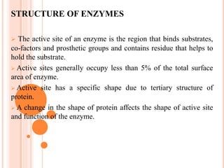 STRUCTURE OF ENZYMES
 The active site of an enzyme is the region that binds substrates,
co-factors and prosthetic groups and contains residue that helps to
hold the substrate.
 Active sites generally occupy less than 5% of the total surface
area of enzyme.
 Active site has a specific shape due to tertiary structure of
protein.
 A change in the shape of protein affects the shape of active site
and function of the enzyme.
 
