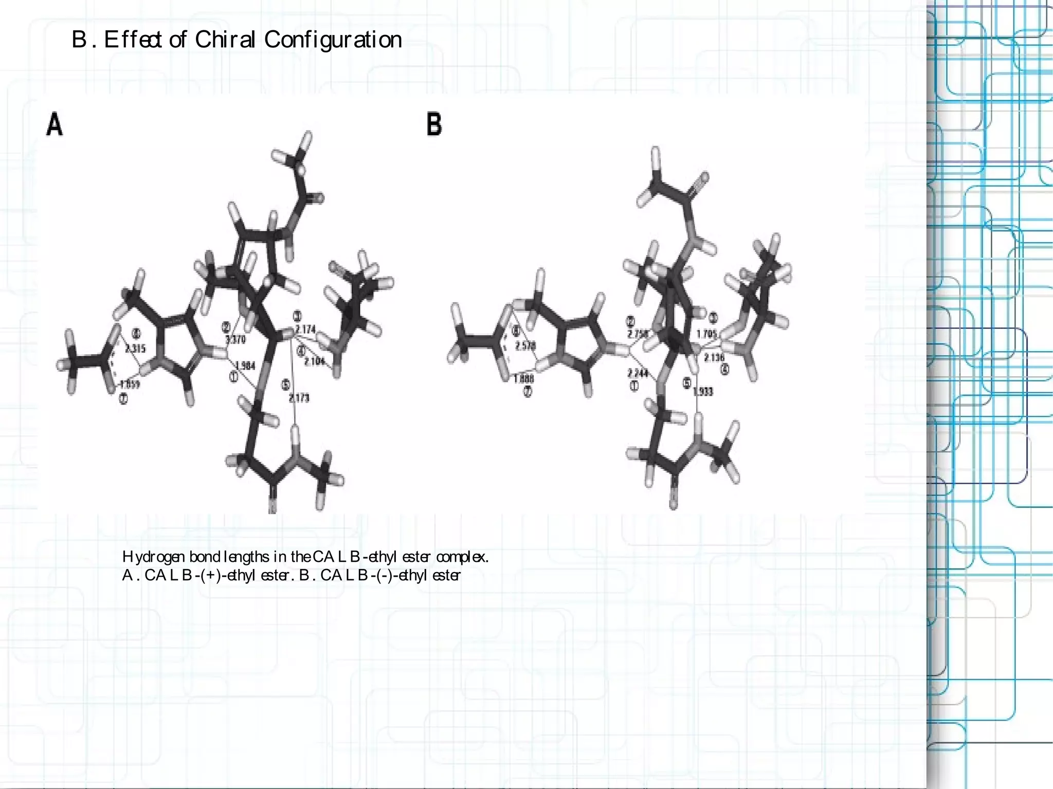 Hydrogen bond lengths in theCA L B-ethyl ester complex.
A . CA L B-(+)-ethyl ester. B . CA L B-(-)-ethyl ester
B . Effect of Chiral Configuration
 