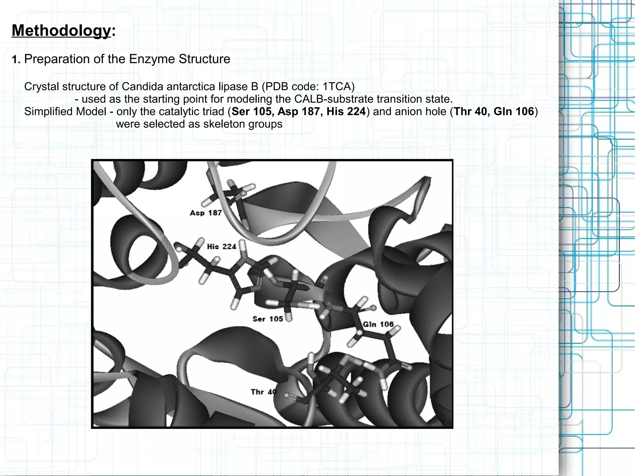 Methodology:
1. Preparation of the Enzyme Structure
Crystal structure of Candida antarctica lipase B (PDB code: 1TCA)
- used as the starting point for modeling the CALB-substrate transition state.
Simplified Model - only the catalytic triad (Ser 105, Asp 187, His 224) and anion hole (Thr 40, Gln 106)
were selected as skeleton groups
 