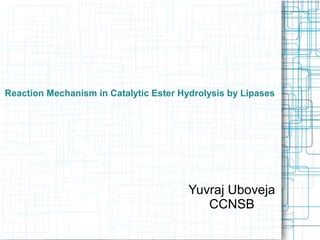 Reaction Mechanism in Catalytic Ester Hydrolysis by Lipases
Yuvraj Uboveja
CCNSB
 
