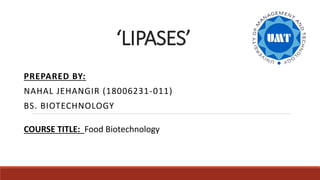 ‘LIPASES’
PREPARED BY:
NAHAL JEHANGIR (18006231-011)
BS. BIOTECHNOLOGY
COURSE TITLE: Food Biotechnology
 