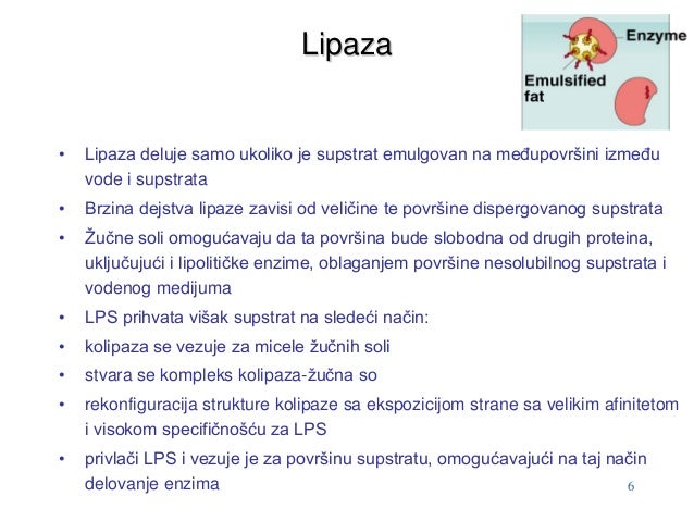 Lipaza 2014