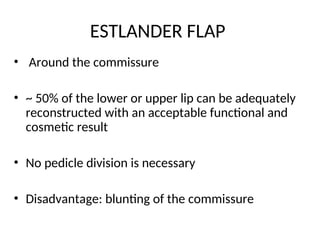 Principles and management of lip defects | PPT