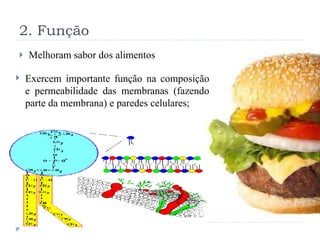 2. Função Melhoram sabor dos alimentos Exercem importante função na composição e permeabilidade das membranas (fazendo parte da membrana) e paredes celulares; 