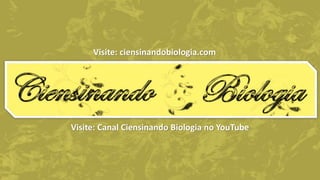 Visite: ciensinandobiologia.com
Visite: Canal Ciensinando Biologia no YouTube
 