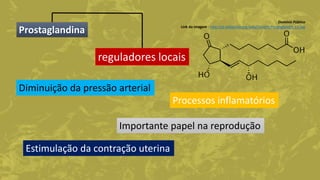 Prostaglandina
reguladores locais
Diminuição da pressão arterial
Processos inflamatórios
Estimulação da contração uterina
Domínio Público
Link da imagem - http://pt.wikipedia.org/wiki/Ficheiro:Prostaglandin_E1.svg
Importante papel na reprodução
 