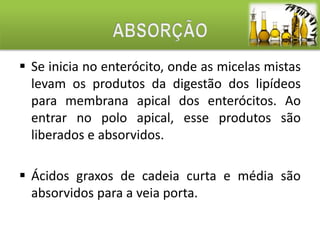  Se inicia no enterócito, onde as micelas mistas 
levam os produtos da digestão dos lipídeos 
para membrana apical dos enterócitos. Ao 
entrar no polo apical, esse produtos são 
liberados e absorvidos. 
 Ácidos graxos de cadeia curta e média são 
absorvidos para a veia porta. 
 
