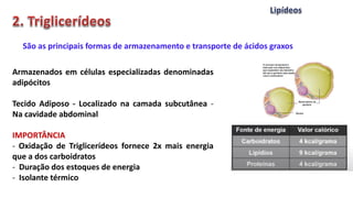 São as principais formas de armazenamento e transporte de ácidos graxos
Armazenados em células especializadas denominadas
adipócitos
Tecido Adiposo - Localizado na camada subcutânea -
Na cavidade abdominal
IMPORTÂNCIA
- Oxidação de Triglicerídeos fornece 2x mais energia
que a dos carboidratos
- Duração dos estoques de energia
- Isolante térmico
 