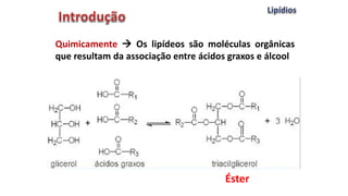 Quimicamente  Os lipídeos são moléculas orgânicas
que resultam da associação entre ácidos graxos e álcool
Éster
 