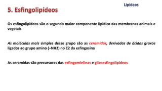 Os esfingolipídeos são o segundo maior componente lipídico das membranas animais e
vegetais
As moléculas mais simples desse grupo são as ceramidas, derivadas de ácidos graxos
ligados ao grupo amino (−NH2) no C2 da esfingosina
As ceramidas são precursoras das esfingomielinas e glicoesfingolipídeos
 