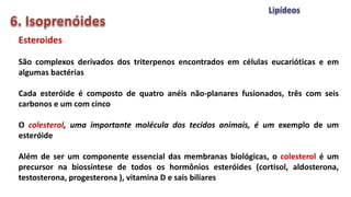 Esteroides
São complexos derivados dos triterpenos encontrados em células eucarióticas e em
algumas bactérias
Cada esteróide é composto de quatro anéis não-planares fusionados, três com seis
carbonos e um com cinco
O colesterol, uma importante molécula dos tecidos animais, é um exemplo de um
esteróide
Além de ser um componente essencial das membranas biológicas, o colesterol é um
precursor na biossíntese de todos os hormônios esteróides (cortisol, aldosterona,
testosterona, progesterona ), vitamina D e sais biliares
 