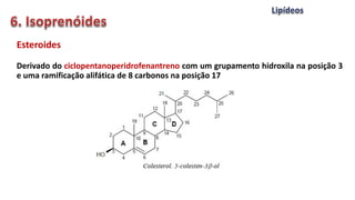 Esteroides
Derivado do ciclopentanoperidrofenantreno com um grupamento hidroxila na posição 3
e uma ramificação alifática de 8 carbonos na posição 17
 