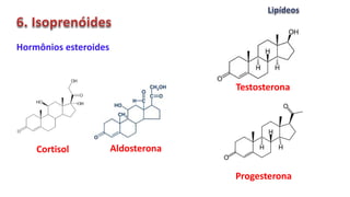 Hormônios esteroides
Cortisol Aldosterona
Testosterona
Progesterona
 