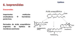 Eicosanoides
Importantes moléculas
sinalizadoras  hormônios
parácrinos;
Derivados do ácido araquidônico
originário de lipídeos de
membrana (animais)
 