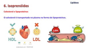 Colesterol e lipoproteínas
O colesterol é transportado no plasma na forma de lipoproteínas.
 