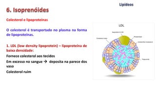 Colesterol e lipoproteínas
O colesterol é transportado no plasma na forma
de lipoproteínas.
1. LDL (low density lipoprotein) – lipoproteína de
baixa densidade:
Fornece colesterol aos tecidos
Em excesso no sangue  deposita na parece dos
vaso
Colesterol ruim
 