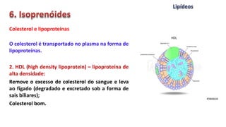 Colesterol e lipoproteínas
O colesterol é transportado no plasma na forma de
lipoproteínas.
2. HDL (high density lipoprotein) – lipoproteína de
alta densidade:
Remove o excesso de colesterol do sangue e leva
ao fígado (degradado e excretado sob a forma de
sais biliares);
Colesterol bom.
 