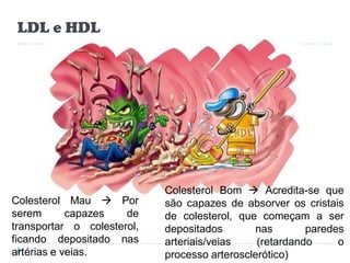 LDL e HDL




                            Colesterol Bom  Acredita-se que
Colesterol Mau  Por        são capazes de absorver os cristais
serem       capazes   de    de colesterol, que começam a ser
transportar o colesterol,   depositados       nas        paredes
ficando depositado nas      arteriais/veias    (retardando     o
artérias e veias.           processo arterosclerótico)
 