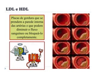 LDL e HDL
  Placas de gordura que se
  prendem a parede interna
  das artérias e que podem
      diminuir o fluxo
  sanguíneo ou bloqueá-lo
      completamente.
 