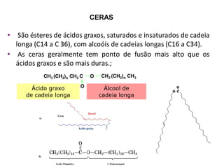 CERAS
• São ésteres de ácidos graxos, saturados e insaturados de cadeia
longa (C14 a C 36), com alcoóis de cadeias longas (C16 a C34).
CH3 (CH2)n CH2 C O
O
CH2 (CH2)n CH3
Ácido graxo
de cadeia longa
Álcool de
cadeia longa
• As ceras geralmente tem ponto de fusão mais alto que os
ácidos graxos e são mais duras.;
 