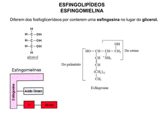 ESFINGOLIPÍDEOS
ESFINGOMIELINA
Diferem dos fosfoglicerídeos por conterem uma esfingosina no lugar do glicerol.
 