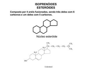 ISOPRENÓIDES
ESTERÓIDES
Composto por 4 anéis fusionados, sendo três deles com 6
carbonos e um deles com 5 carbonos.
 