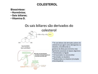 COLESTEROL
Biossíntese:
• Hormônios;
• Sais biliares;
• Vitamina D.
 