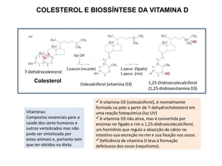 COLESTEROL E BIOSSÍNTESE DA VITAMINA D
Colesterol
 