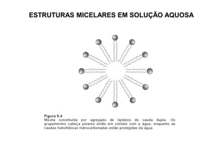 ESTRUTURAS MICELARES EM SOLUÇÃO AQUOSA
 