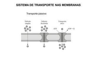SISTEMA DE TRANSPORTE NAS MEMBRANAS
Transporte passivo
 