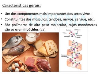 Características gerais:
• Um dos componentes mais importantes dos seres vivos!
• Constituintes dos músculos, tendões, nervos, sangue, etc.;
• São polímeros de alto peso molecular, cujos monômeros
são os α-aminoácidos (aa).
 