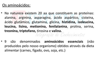 Os aminoácidos:
• Na natureza existem 20 aa que constituem as proteínas:
alanina, arginina, asparagina, ácido aspártico, cisteína,
ácido glutâmico, glutamina, glicina, histidina, isoleucina,
leucina, lisina, metionina, fenilalanina, prolina, serina,
treonina, triptofano, tirosina e valina.
• 9 são denominados aminoácidos essenciais (não
produzidos pelo nosso organismo) obtidos através da dieta
alimentar (carnes, fígado, ovo, soja, etc.)
 
