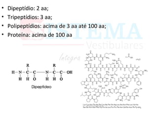 • Dipeptídio: 2 aa;
• Tripeptídios: 3 aa;
• Polipeptídios: acima de 3 aa até 100 aa;
• Proteína: acima de 100 aa
 
