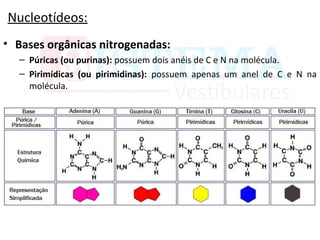 Nucleotídeos:
• Bases orgânicas nitrogenadas:
– Púricas (ou purinas): possuem dois anéis de C e N na molécula.
– Pirimídicas (ou pirimidinas): possuem apenas um anel de C e N na
molécula.
 