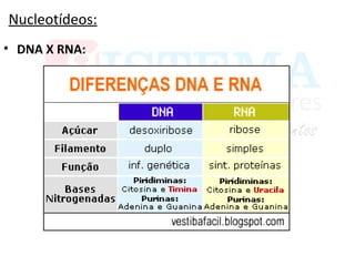 Nucleotídeos:
• DNA X RNA:
 