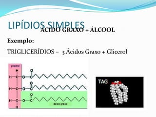 LIPÍDIOS SIMPLES + ÁLCOOL
       ÁCIDO GRAXO
Exemplo:
TRIGLICERÍDIOS – 3 Ácidos Graxo + Glicerol
 