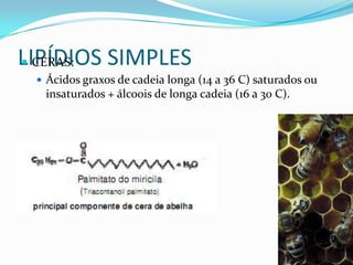 LIPÍDIOS SIMPLES
 CERAS:
  Ácidos graxos de cadeia longa (14 a 36 C) saturados ou
  insaturados + álcoois de longa cadeia (16 a 30 C).
 