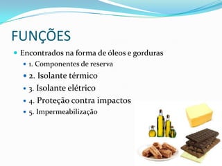 FUNÇÕES
 Encontrados na forma de óleos e gorduras
    1. Componentes de reserva
   2. Isolante térmico
   3. Isolante elétrico
   4. Proteção contra impactos
   5. Impermeabilização
 