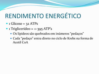 RENDIMENTO ENERGÉTICO
 1 Glicose = 32 ATPs
 1 Triglicerídeo = +-395 ATP’s
    Os lipídeos são quebrados em inúmeros “pedaços”
    Cada “pedaço” entra direto no ciclo de Krebs na forma de
     Acetil CoA
 