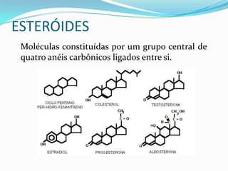 ESTERÓIDES
 Moléculas constituídas por um grupo central de
 quatro anéis carbônicos ligados entre si.
 