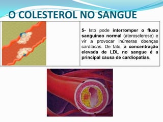 O COLESTEROL NO SANGUE
            5- Isto pode interromper o fluxo
            sanguíneo normal (aterosclerose) e
            vir a provocar inúmeras doenças
            cardíacas. De fato, a concentração
            elevada de LDL no sangue é a
            principal causa de cardiopatias.
 